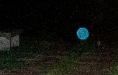 IMAGE: http://i921.photobucket.com/albums/ad51/bleezyblake/orb_crop1of1.jpg