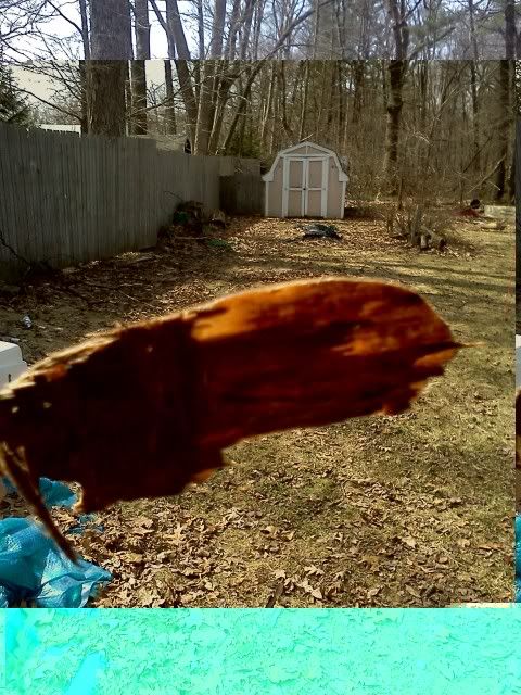 033111141653.jpg
