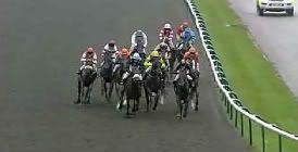 free horse racing tips,speed ratings,speed handicapping,all weather racing,dutch and win