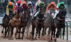 free,horse,racing,tips,all weather,uk