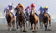 free,horse,racing,tips,all weather,uk