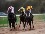 free,all weather,horse,racing,tips,uk