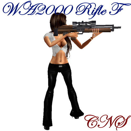 WA2000 Rifle F