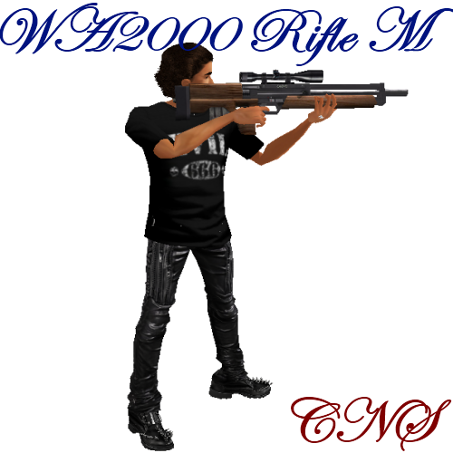 wa2000 Rifle M