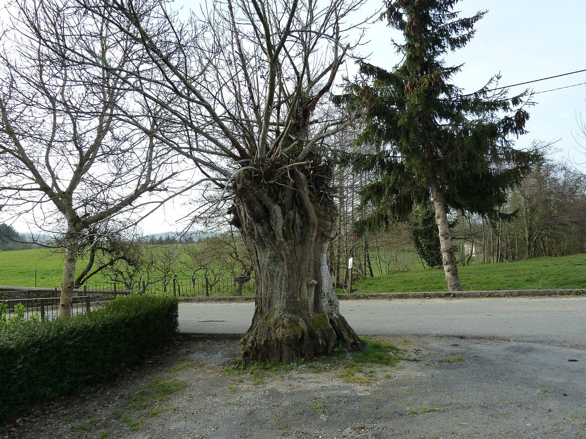 photoP1170600.jpg