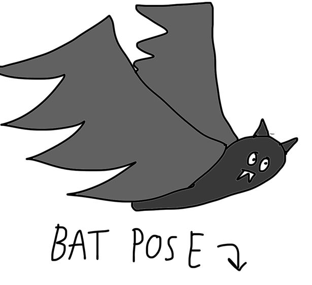  photo bat pose3_zpsiwhvokby.jpg