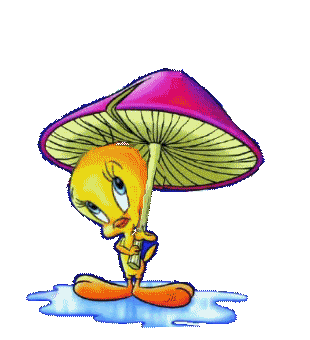 th_raintweety.gif