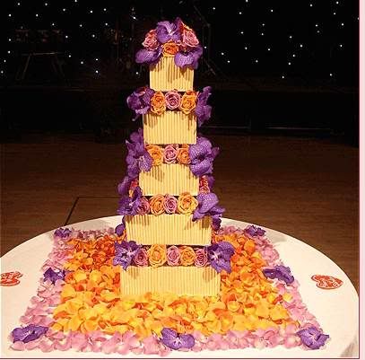 Forum Image: http://i921.photobucket.com/albums/ad56/caitih_bucket/IndianWedding.jpg