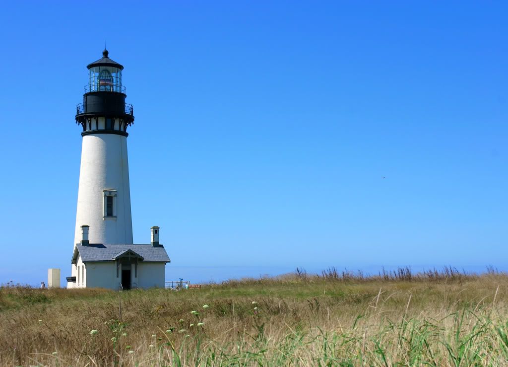 IMAGE: http://i921.photobucket.com/albums/ad56/stepanie5880/IMG_5633.jpg