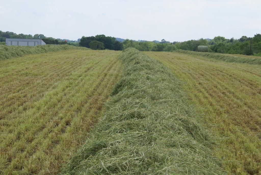 Windrow Formation Machinery HayTalk Hay & Forage Community