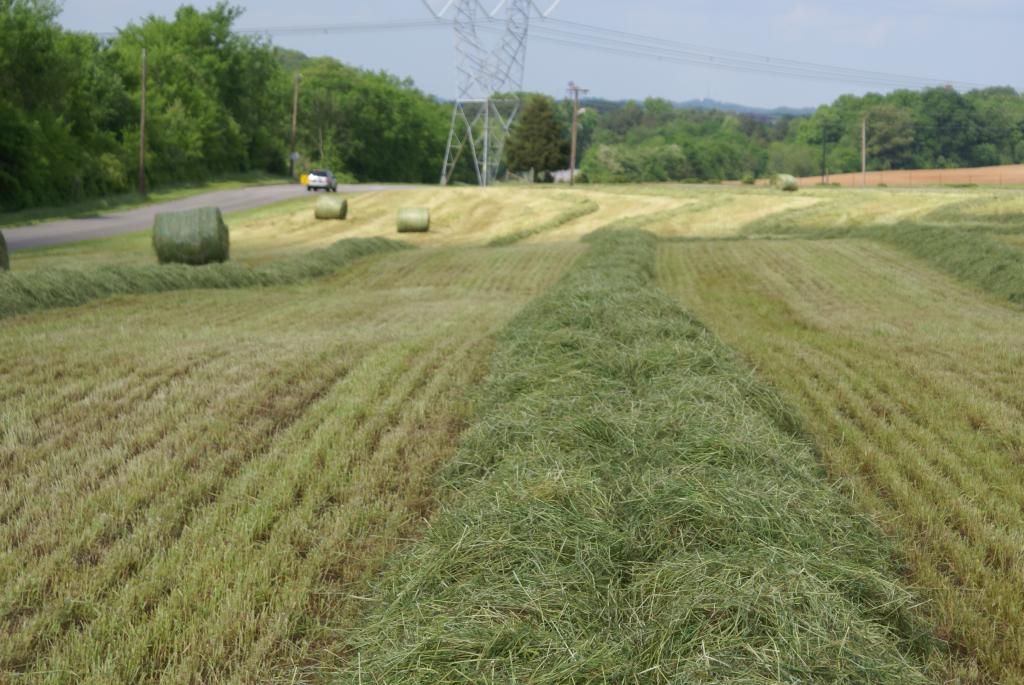 Windrow Formation Machinery HayTalk Hay & Forage Community