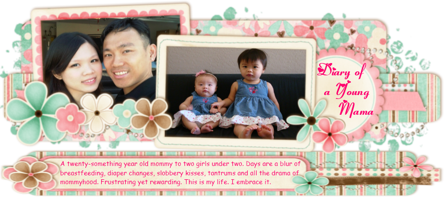 Diary of a Young Mama
