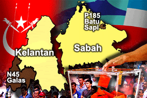 galas batu sapi