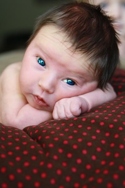 Baby Girl With Brown Eyes And Brown Hair