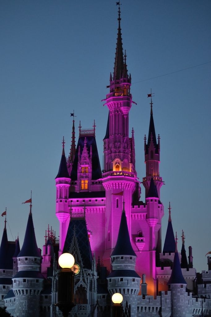 DSC_0100_095Disney_zps777b7e99.jpg