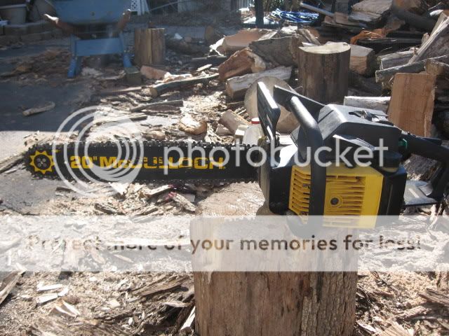 New McCulloch Timber Bear | Arboristsite.com