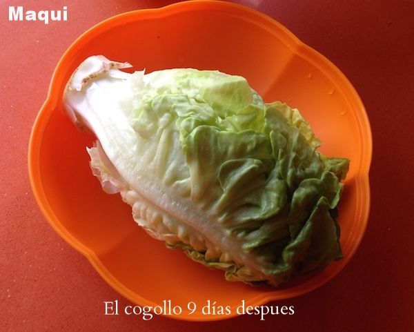 6e5040b8-f88c-4df6-a0e3-e2df3b45cb07_zpsdb8a12c8.jpg