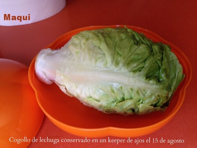 745600a6-bf23-4a5b-acef-df87177d137a_zps553dfcf7.jpg