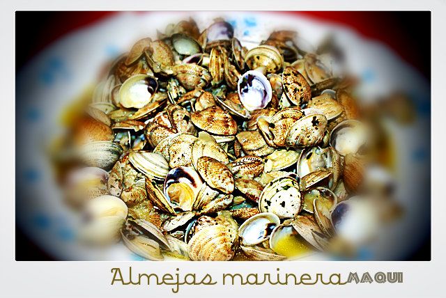 ChirlasmarineraMaqui.jpg