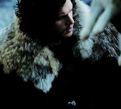 photo tumblr_o6kcorfSD71r00543o1_r2_250.gif