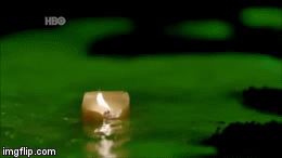photo tumblr_o9f3pwsH9X1v4tmfzo4_400.gif