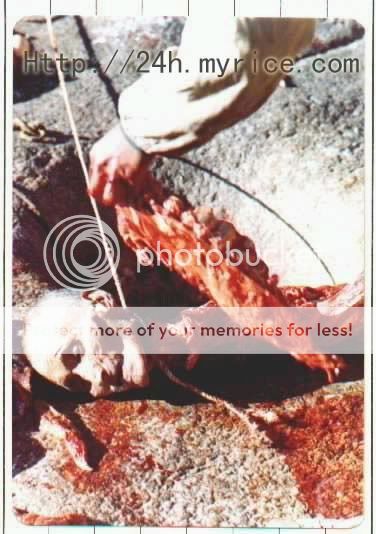 有血有肉之天葬图片~~慎入