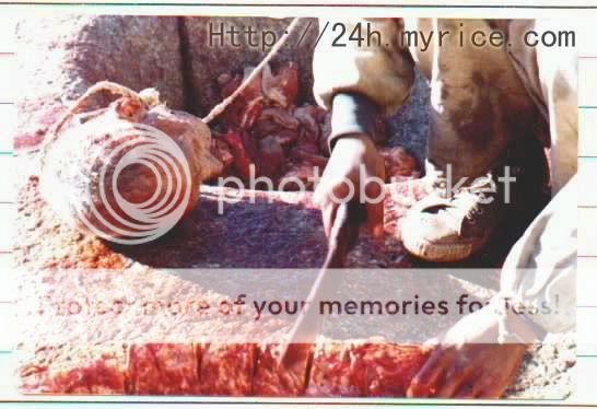 有血有肉之天葬图片~~慎入